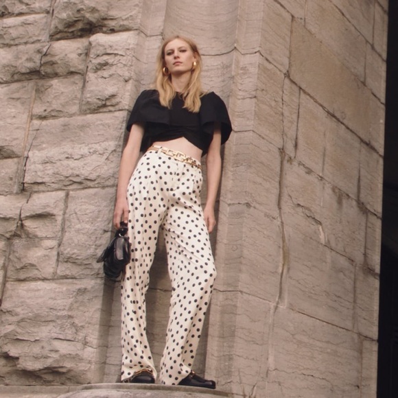 Zara Pants - ZARA Polka Dot Silk Dress Pants – NWOT – High Waisted